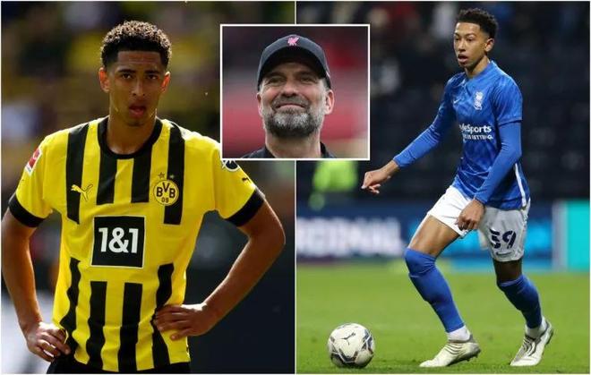 而是可量化 而是可量化